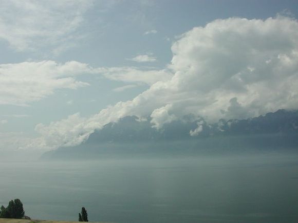 DSCN4448_resize.JPG