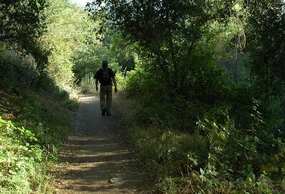 DSC_9347 080601 Sunny trail.JPG