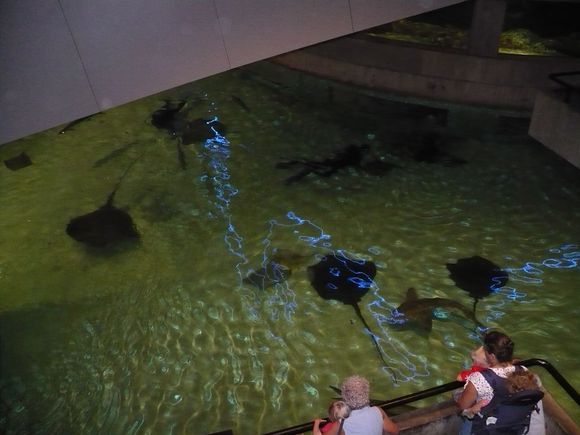 Vacation 2008 079.jpg