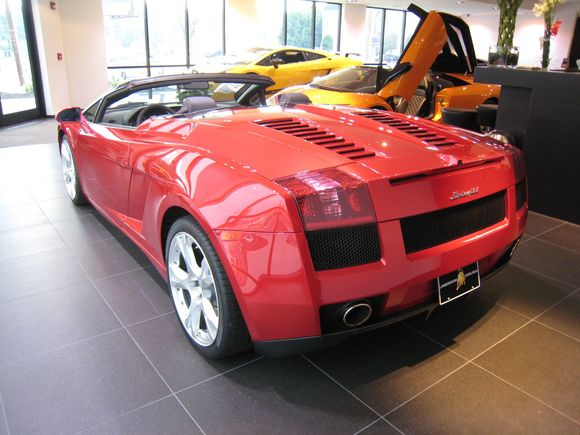 Lambo 8-16-08 005.jpg
