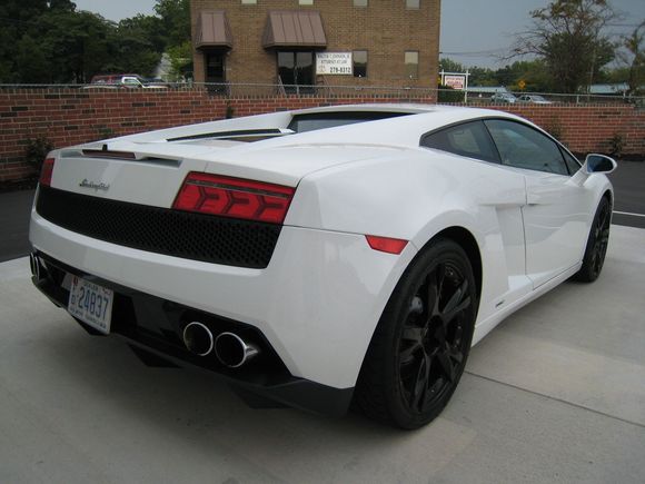 Lambo 8-16-08 046.jpg