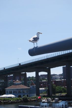 DSC_0150.JPG