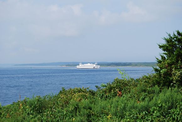 DSC_0026.JPG