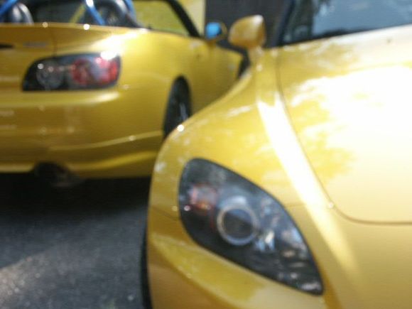 Spa Yellow