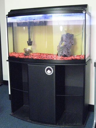 FishTank.JPG