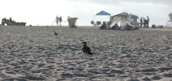 DSC_1298.JPG