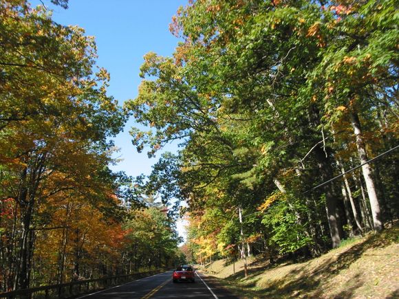 catskills 1.JPG