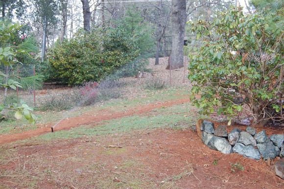 Last zone 1 sprinkler... Property line between our house and