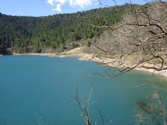 DSC01555_resize.JPG