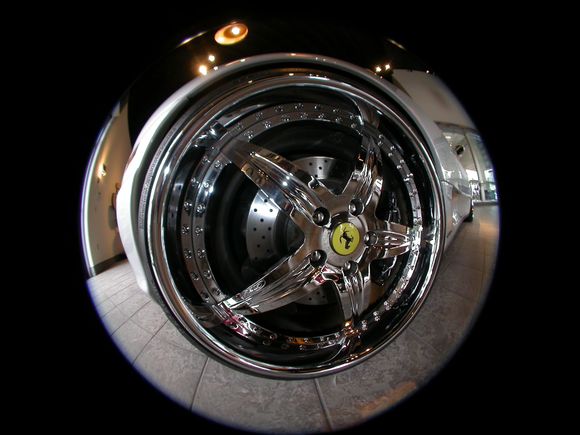 DSCN7796.JPG