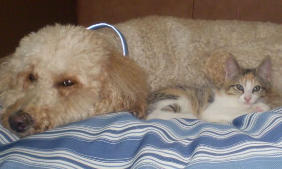 Mo and Cali resized.jpg
