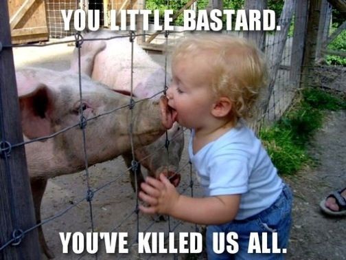 pig-kisser.jpg.jpeg