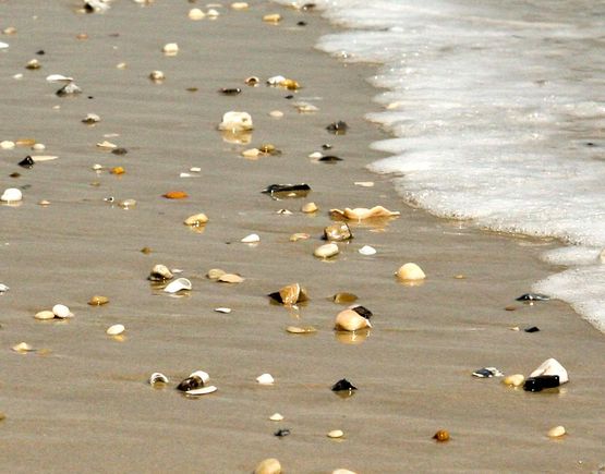 IMG_3036 sand.jpg