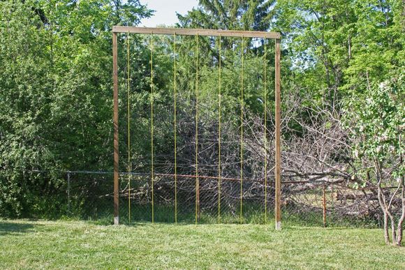 Trellis_done_LR.jpg