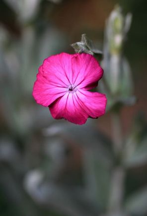 IMG_8873.JPG