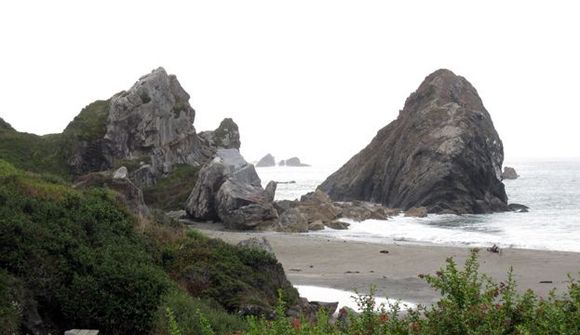 35 harris beach.jpg