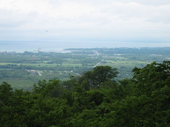 Slmndr 010 - stopped at high viewpoint.jpg