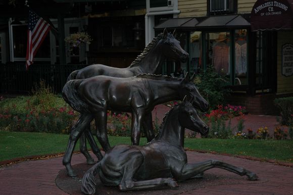 DSC_0206.JPG
