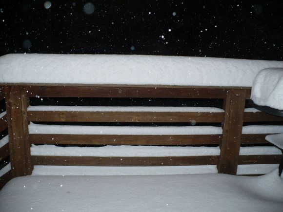 Snow @ approx. 0245 Sat Dec 19, 2009
