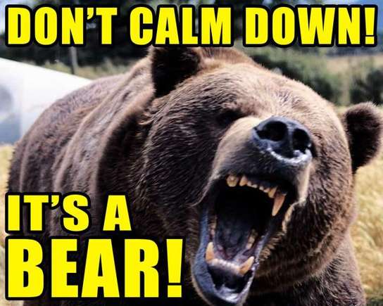 dontcalmdownbear-1.jpg
