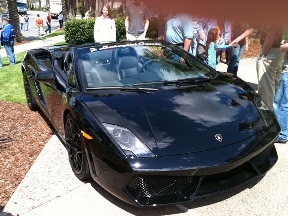 gallardo2.jpg