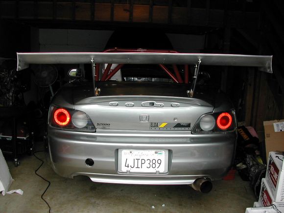 Wing 010.jpg