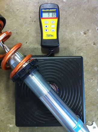 Bilstein front weight swift springs
