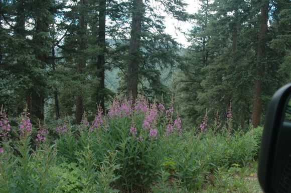 DSC_8931.JPG