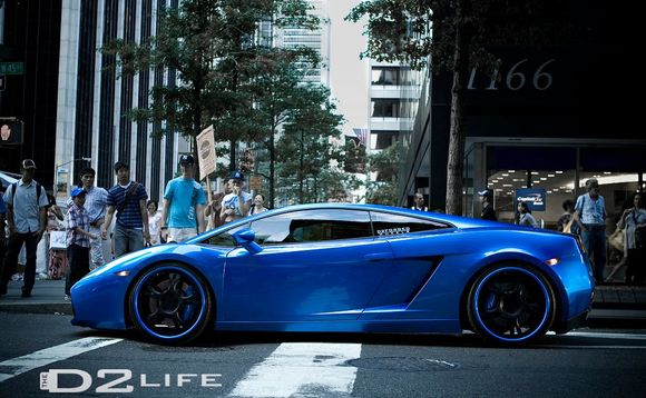 Gallardo blue.jpg