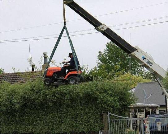 redneck hedger.jpg