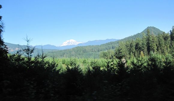 IMG_3445.JPG