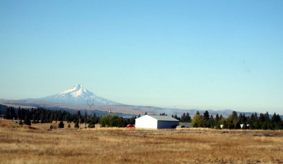 IMG_3396.JPG