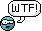 wtf.gif