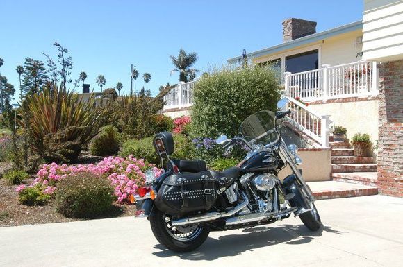 Softail