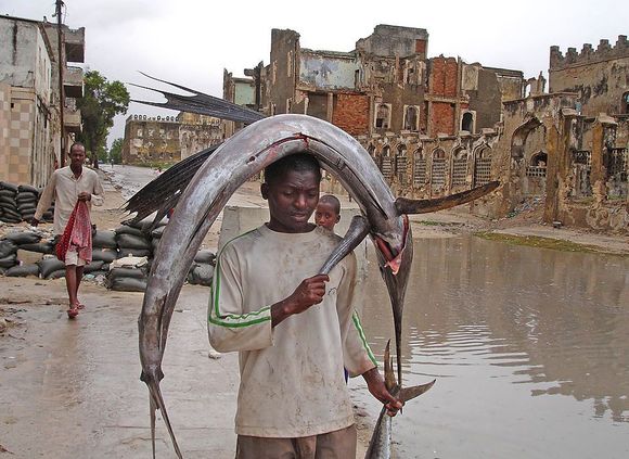 fish head
