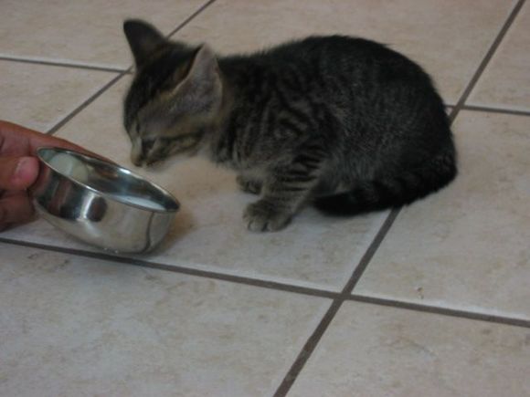 IMG 005.jpg