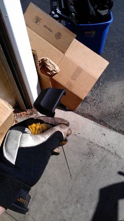 IMAG0417