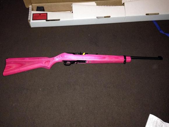 Ruger 10-22 Pink