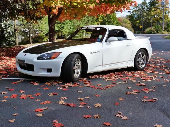 2016 s2k front angle driver
