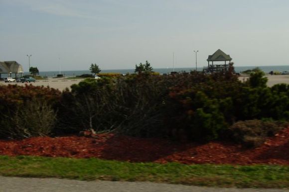 Dsc01029.jpg