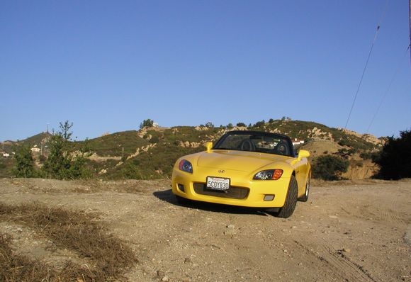 Las Flores 4.JPG
