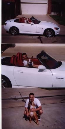 Car and dog.jpg