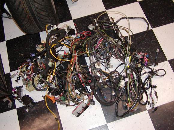 PC220008.JPG