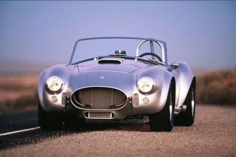 cobra06_small.jpg