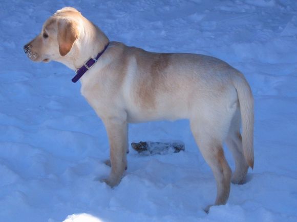 maggie01-31.jpg