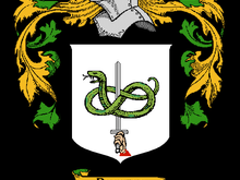 Irish 1400's Family Crest. Family Motto "Vir Super Hostem" - "A Man Above His Enemies"