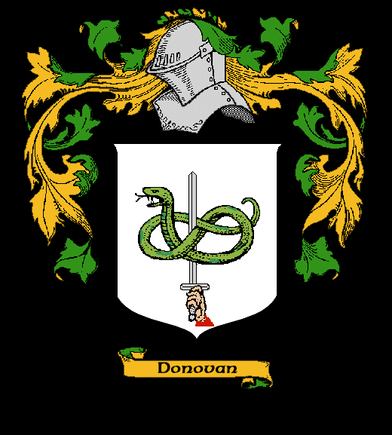Irish 1400's Family Crest. Family Motto "Vir Super Hostem" - "A Man Above His Enemies"
