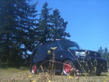In the weeds....