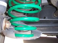 Tein Springs