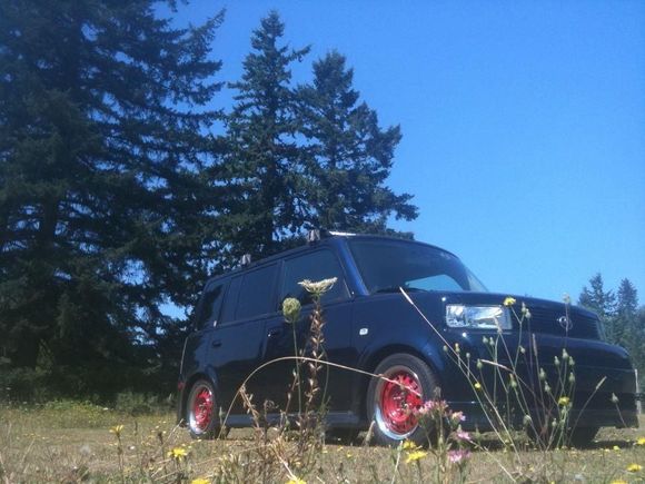 In the weeds....